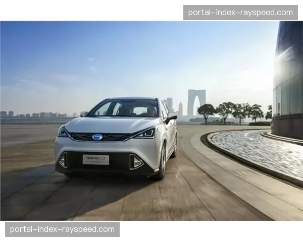 技术流派的胜利：解析冠军车手在泥泞赛道上的独特控车技巧